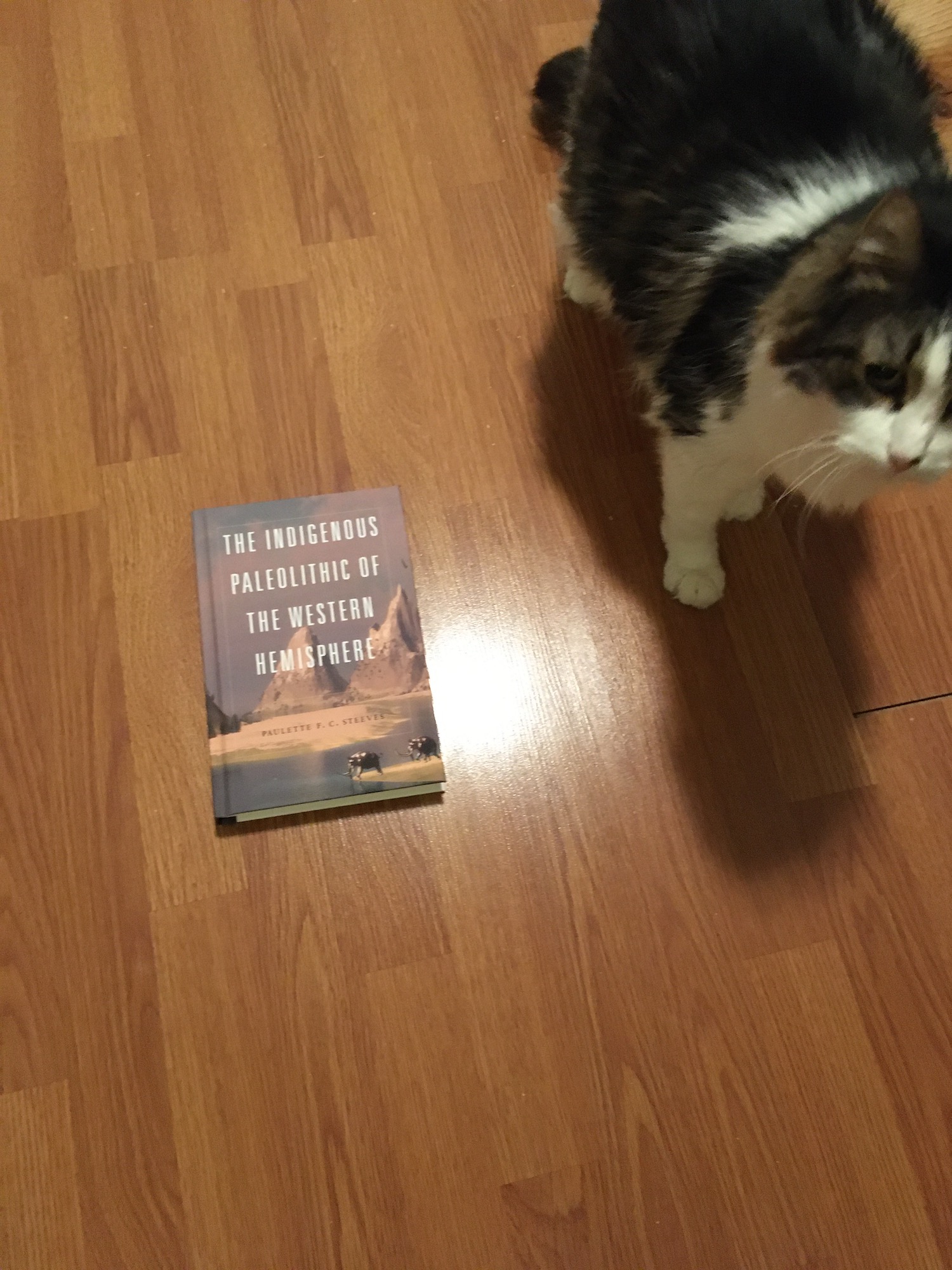 Lou-Ann-Fauteck-my-book10084957702746788_n.jpeg