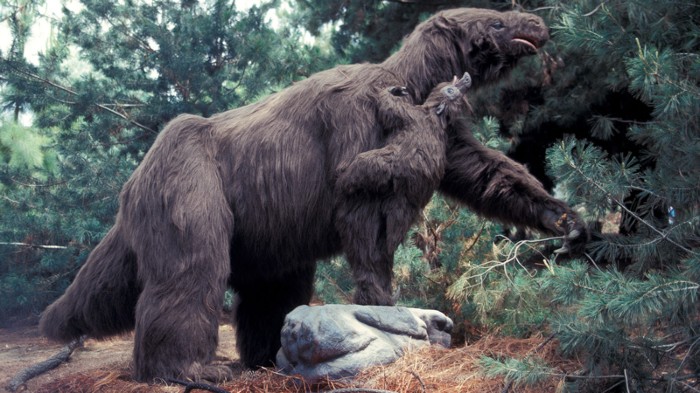 giantgroundsloth-1.jpg