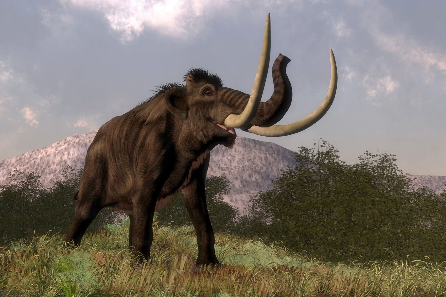 mastodon.jpg