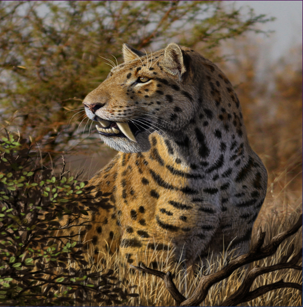Sabre-Tooth-Cat-Megantereon.png