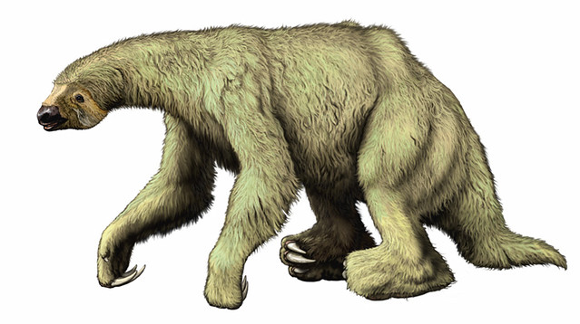 shasta-ground-sloth.jpg